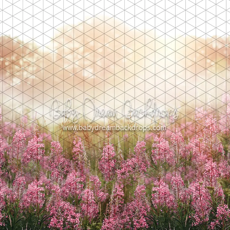 Misty Pink Blooms (CC)